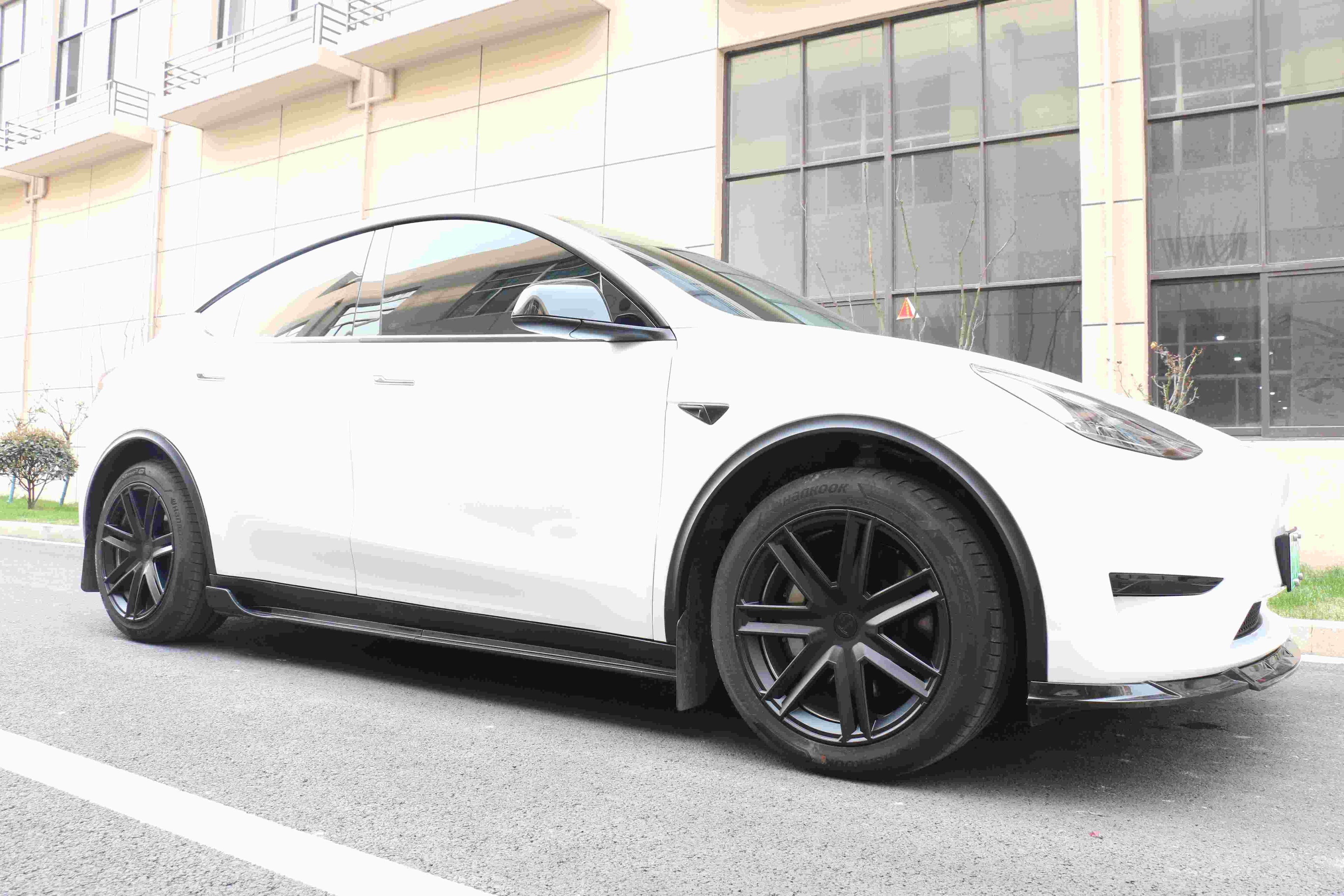 Model Y 19 Inch Arachnid Wheel Cover